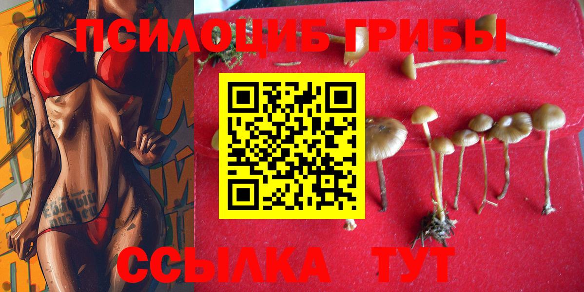 Псилоцибиновые грибы GOLDEN TEACHER Мценск